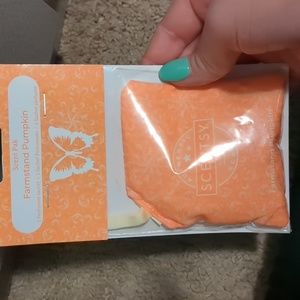 Scentsy farmstand pumpkin scent pak